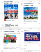 伴侣圈“第五条”