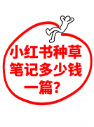 某智能设备品牌合做案